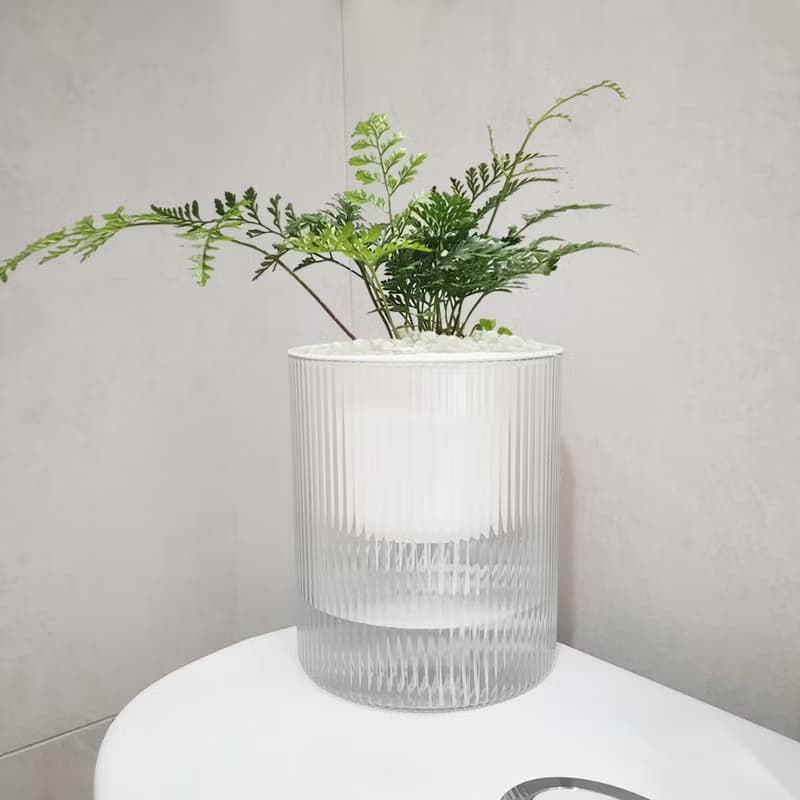 植栽 室內盆栽 無印風 兔腳蕨 植物盆栽