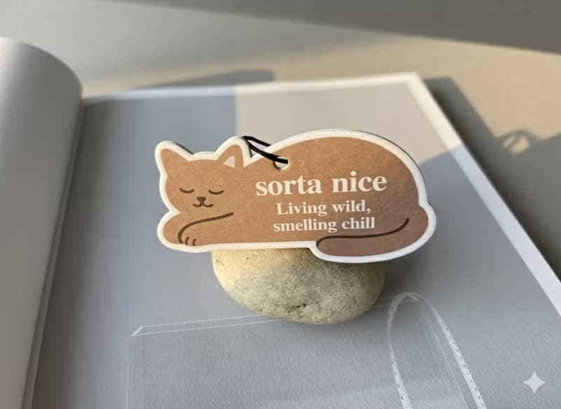 聖誕禮盒  香氛噴霧 × 小貓香氛片  |  這一刻 世界不急