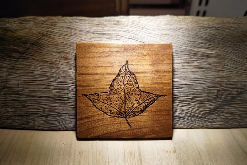 【體驗】【體驗】葉形杯墊製作課程