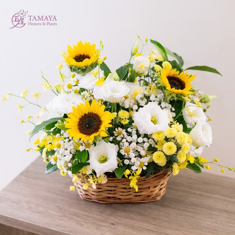 【鮮花禮】白皙陽光大花籃 日常花禮 升遷喬遷送花 生病慰問花束