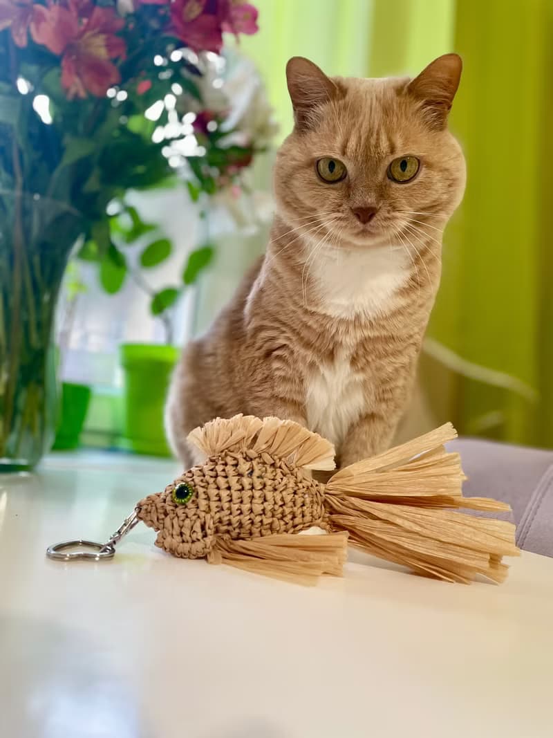 Raffia Fish Charm Handmade Bag Accessory  Summer Ocean-Inspired Keychain