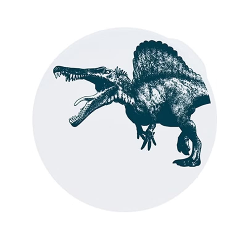 矽寶巧力碗蓋-PP蓋