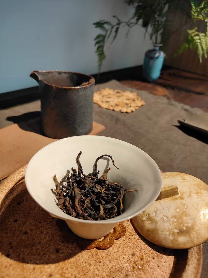 鳳凰單欉宋種