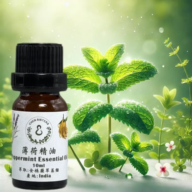 100%天然純精油 薄荷精油 單方精油 10ml 50ml 贈精美擴香石