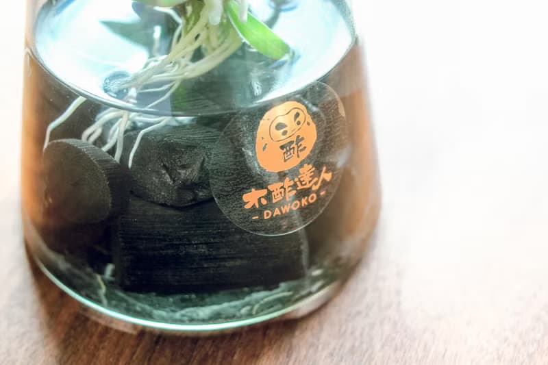 水耕炭盆 | 火鶴   室內植栽/簡單照顧/懶人福音/送禮