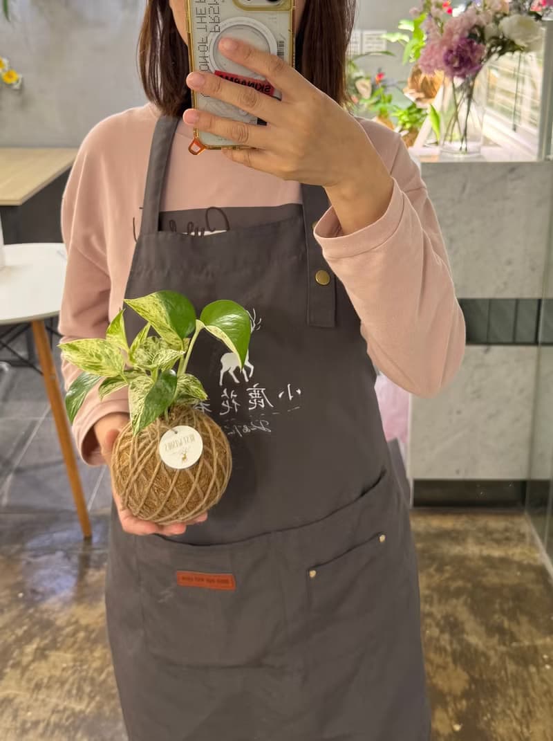 苔球植物 蕾絲蕨 合果芋 油畫竹芋