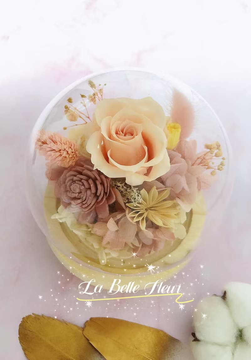 【蜜桃色】永生花夜燈玻璃盅/乾燥花/生日禮物/情人節禮物