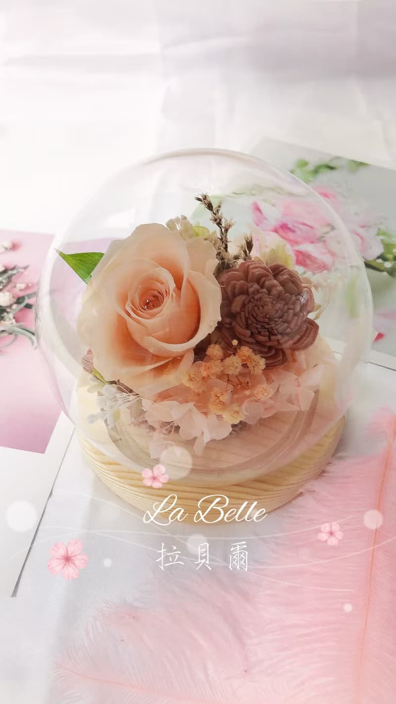 【蜜桃色】永生花夜燈玻璃盅/乾燥花/生日禮物/情人節禮物