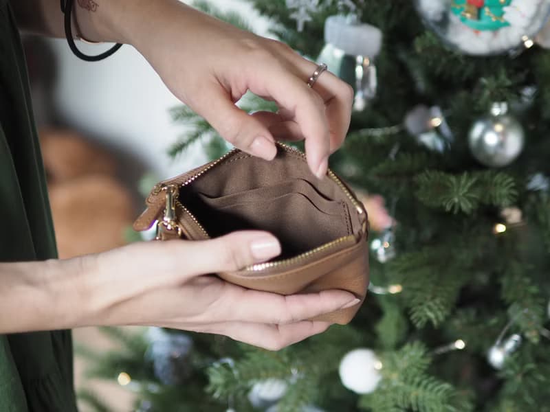 Pie (Oak brown) :  Multi-purpose bag, Leather wallet, pouch , Soft leather