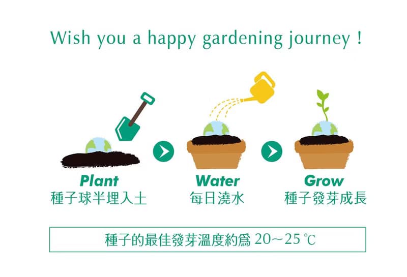 Star Grows 星星種子球植栽盆栽禮物組 (升級版)
