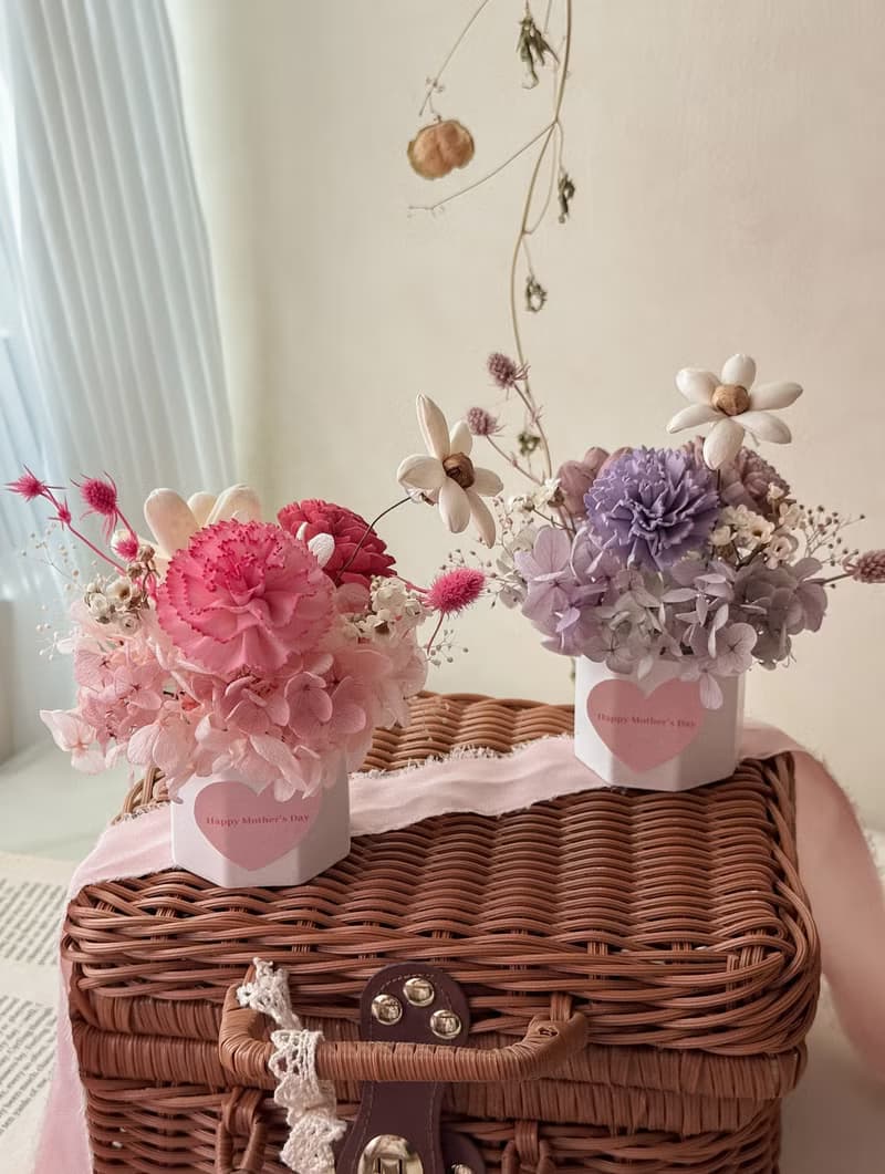 母親節花禮 康乃馨 擴香 小盆花