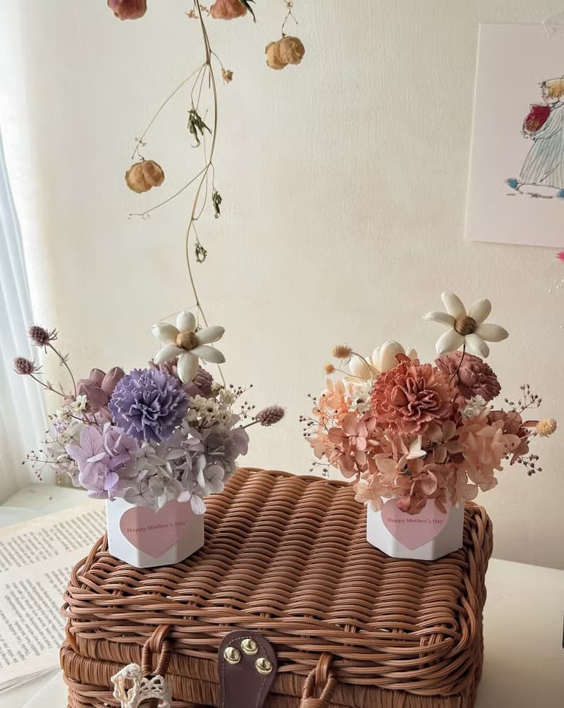 母親節花禮 康乃馨 擴香 小盆花