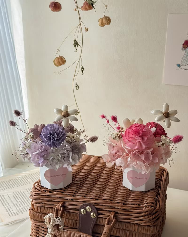 母親節花禮 康乃馨 擴香 小盆花