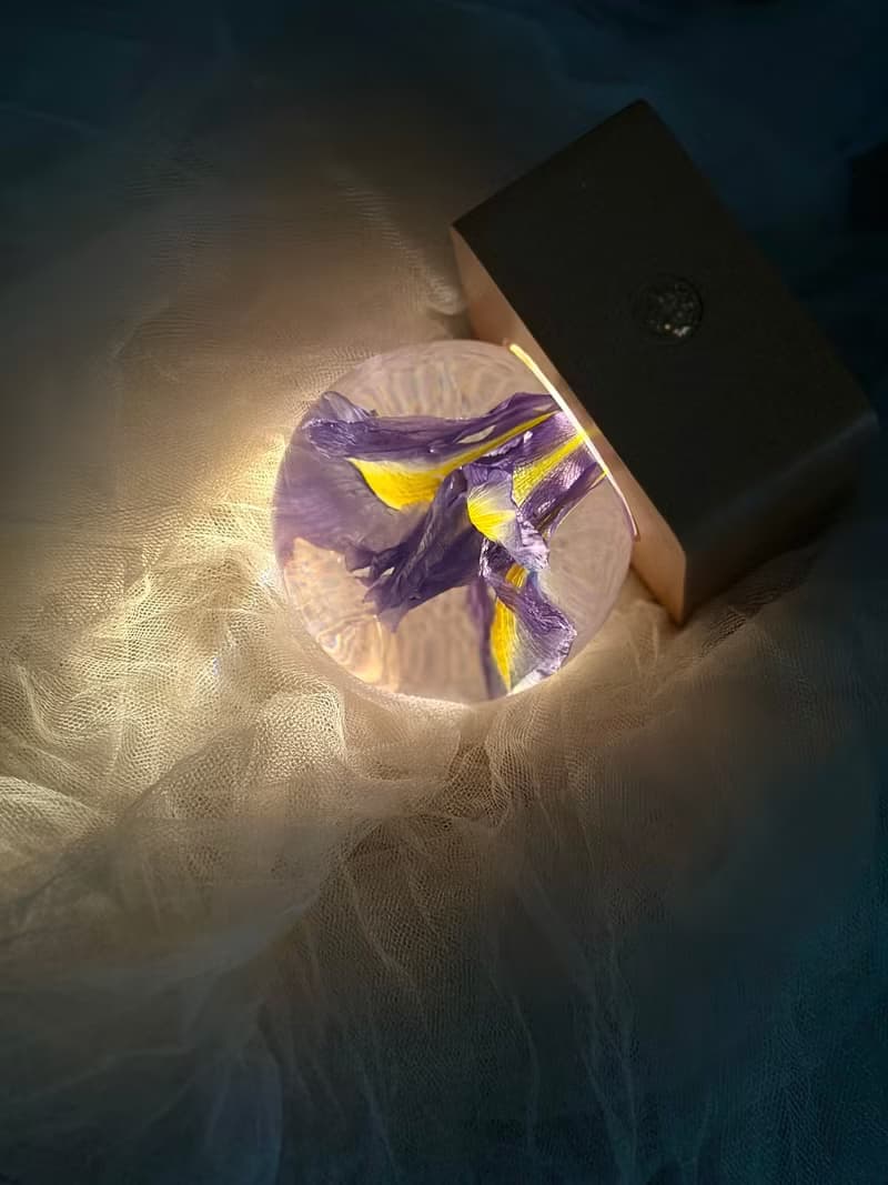 鳶尾花真花標本水晶球夜燈