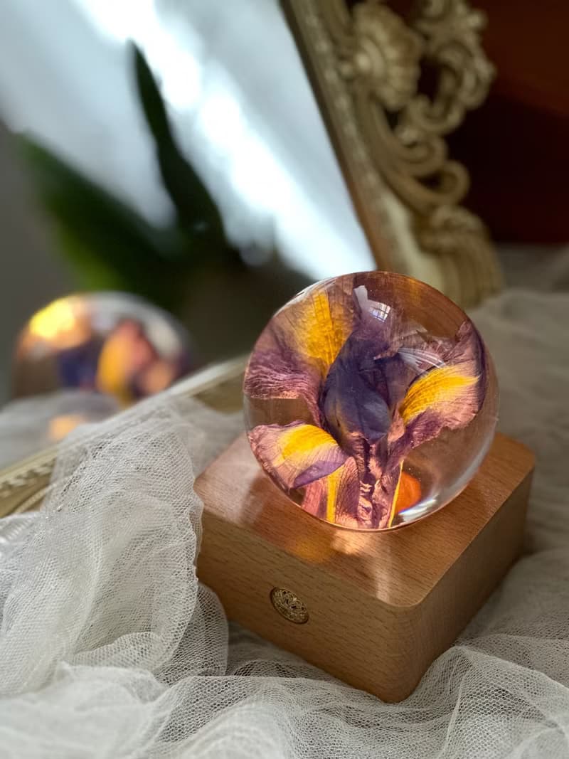 鳶尾花真花標本水晶球夜燈