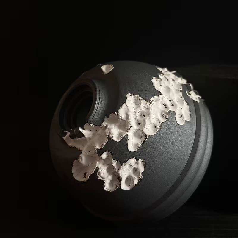 黑泥櫻花系列 塊根多肉植物陶盆器 龍舌蘭象牙宮盆器