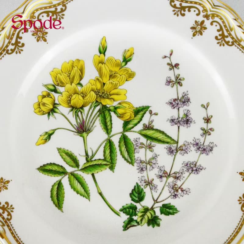 英國Spode-Stafford Flowers斯塔福之花系列-23.5cm盤