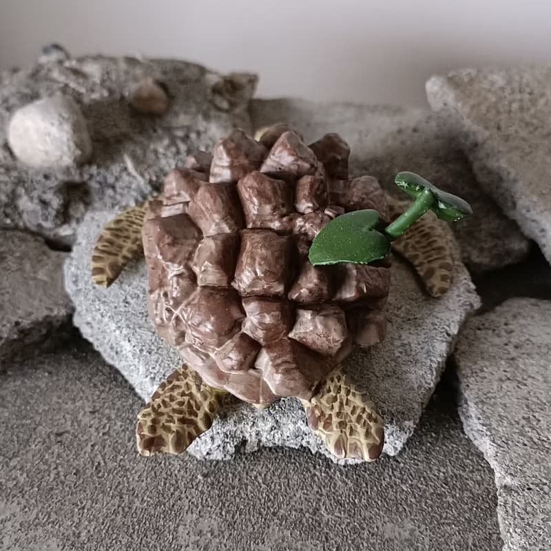 墨西哥龜甲龍海龜