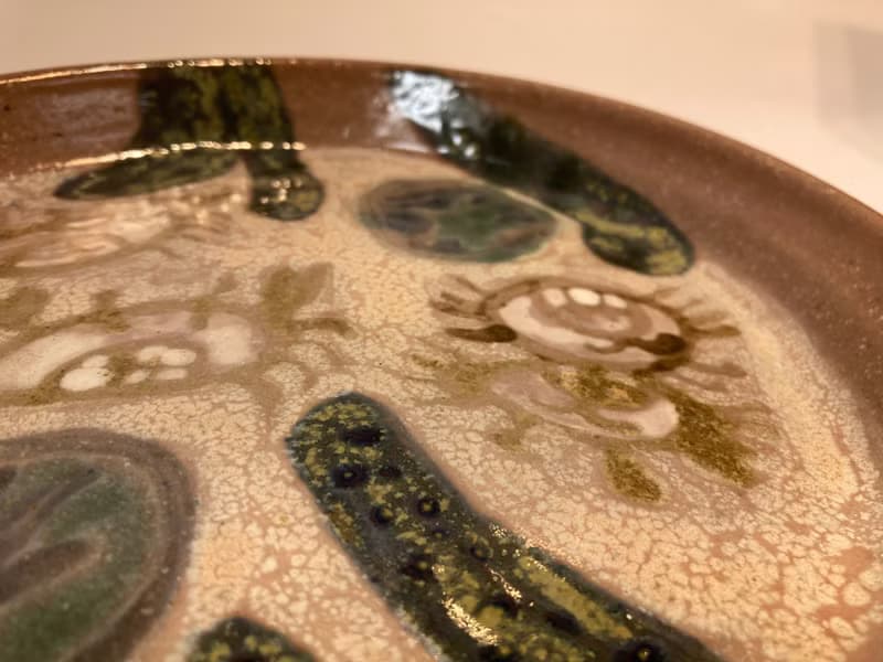 螃蟹悠遊水草淺盤