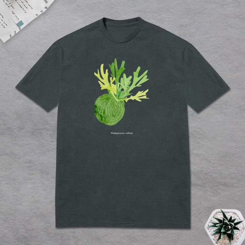 植物 T恤 觀葉植物