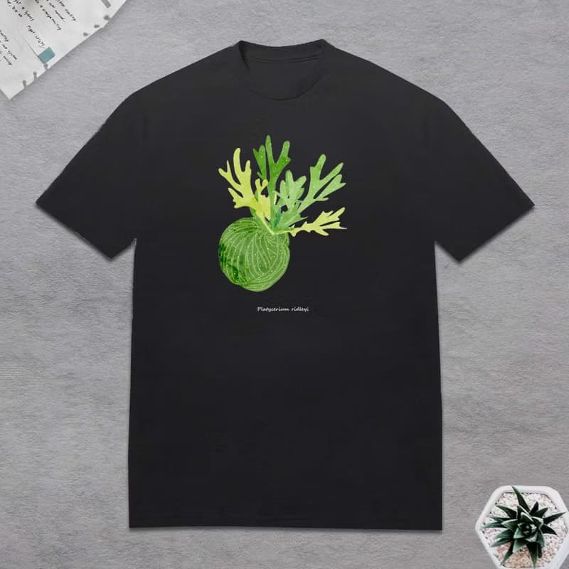 植物 T恤 觀葉植物