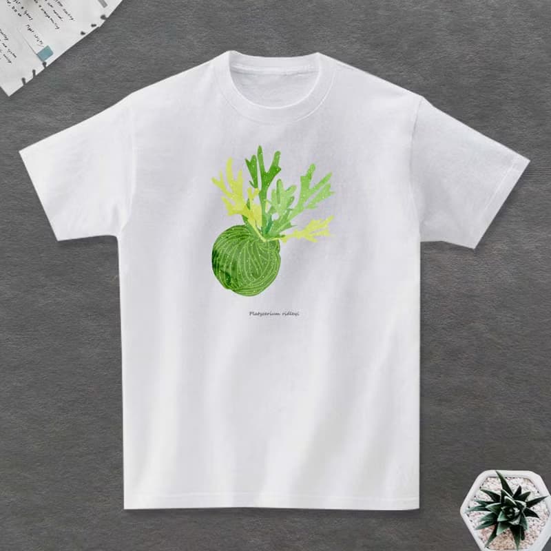 植物 T恤 觀葉植物