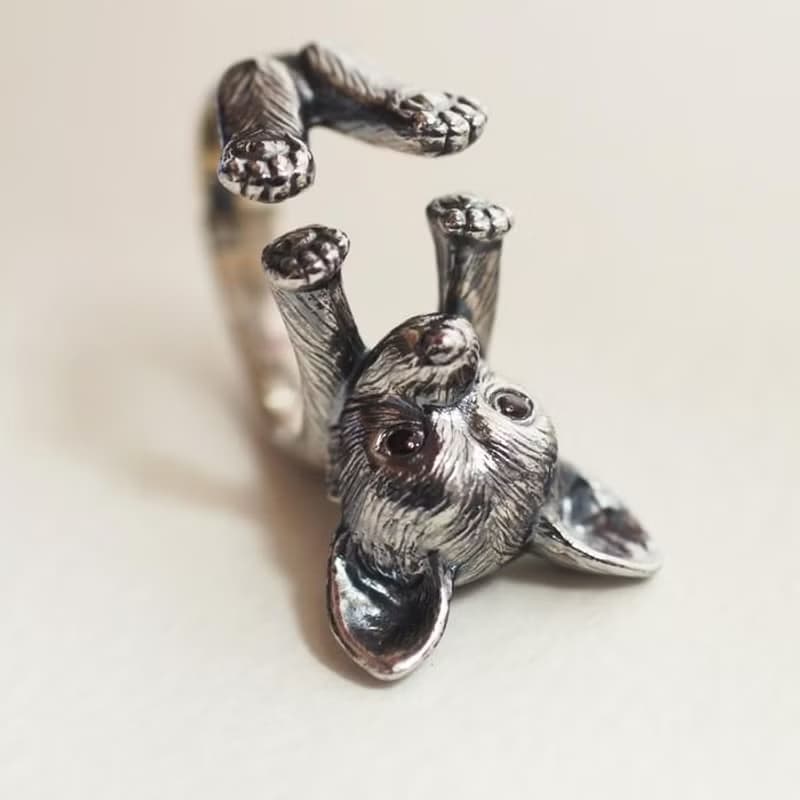 犬リング チワワ