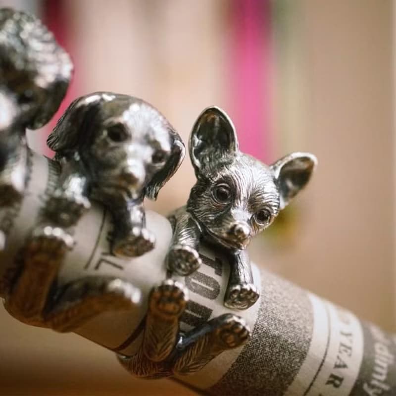 犬リング チワワ