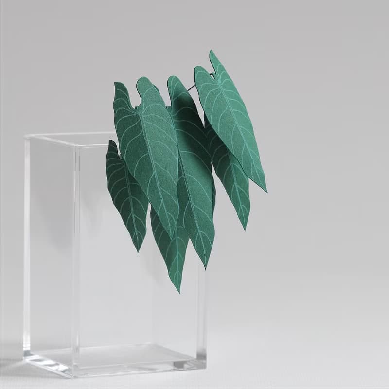 【立體植物貼紙】金葉喜林芋 (605013) FingerART紙雕紙藝術