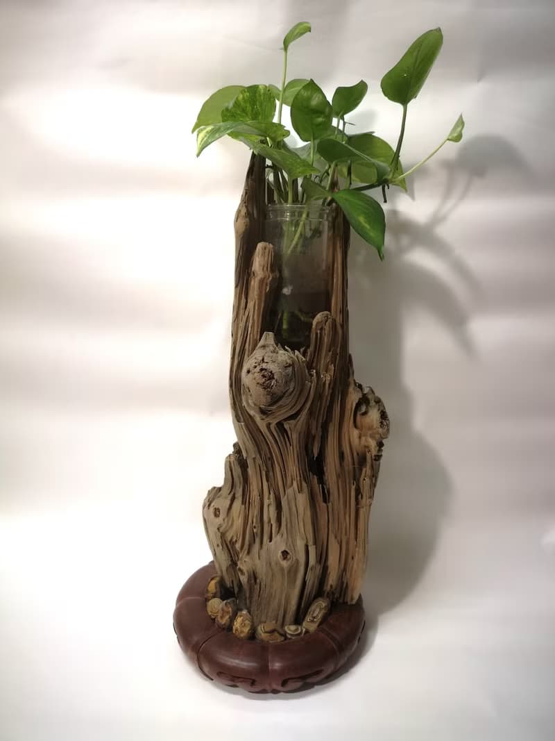 -樹頭- 花架 花座 展示架  盆栽架 多肉植物