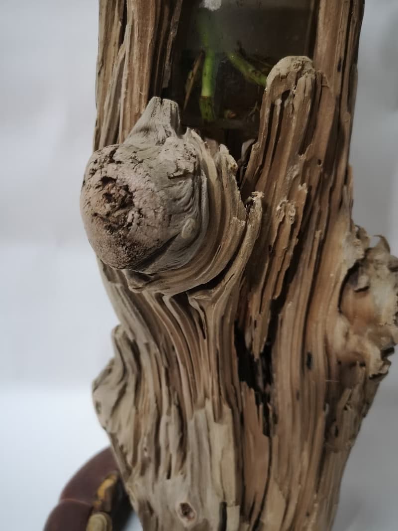 -樹頭- 花架 花座 展示架  盆栽架 多肉植物