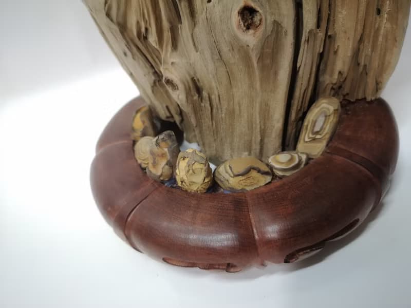 -樹頭- 花架 花座 展示架  盆栽架 多肉植物