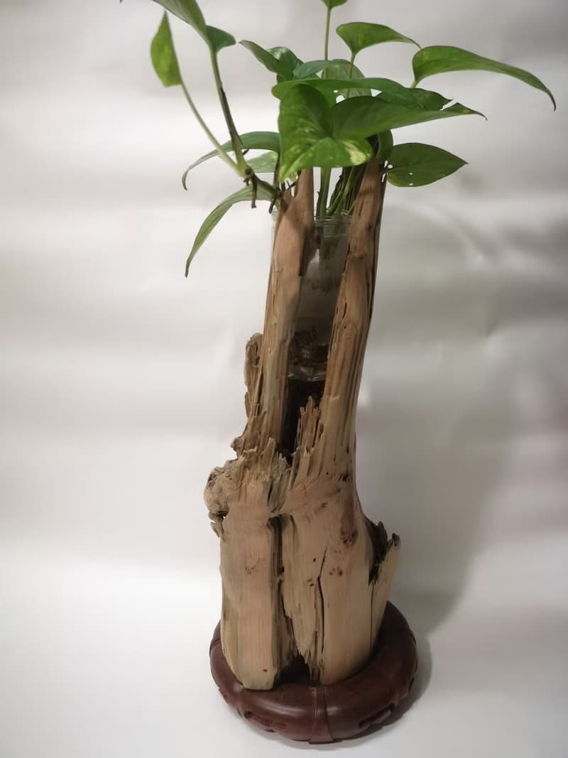 -樹頭- 花架 花座 展示架  盆栽架 多肉植物