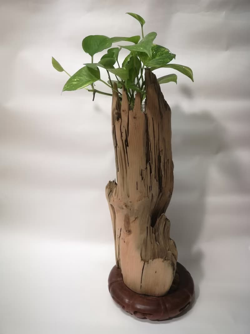 -樹頭- 花架 花座 展示架  盆栽架 多肉植物