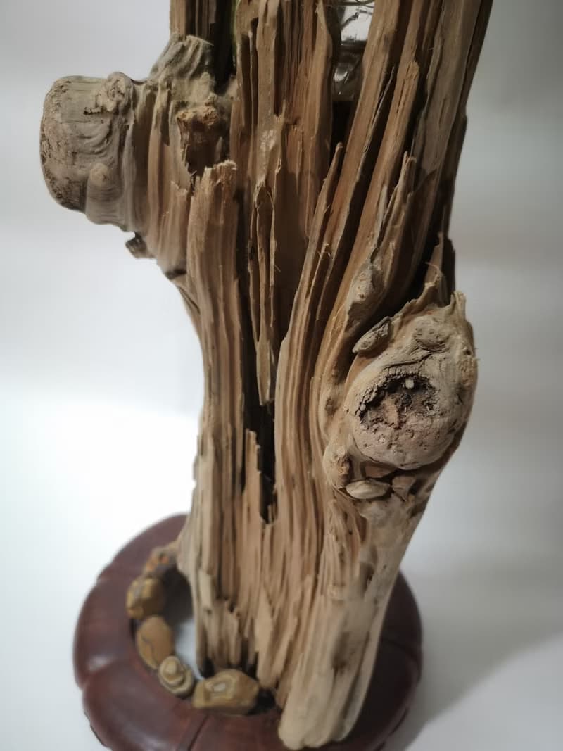 -樹頭- 花架 花座 展示架  盆栽架 多肉植物