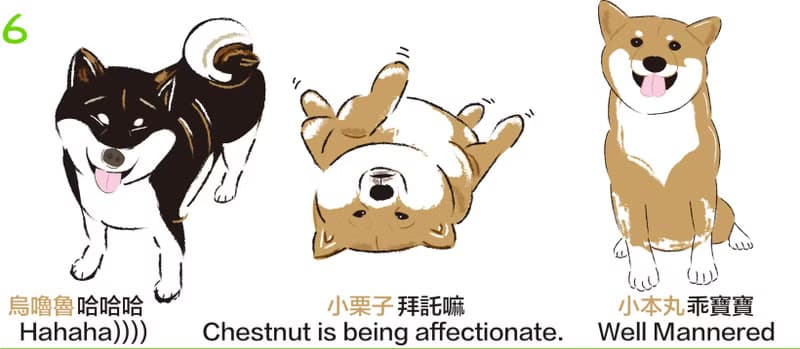 小飯糰  柴柴大型防水貼紙 No.6 柴犬 行李箱貼紙