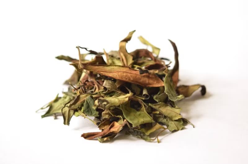 阿里山白茶 /春 清甜木香型/製茶師手作款/Alishan White Tea