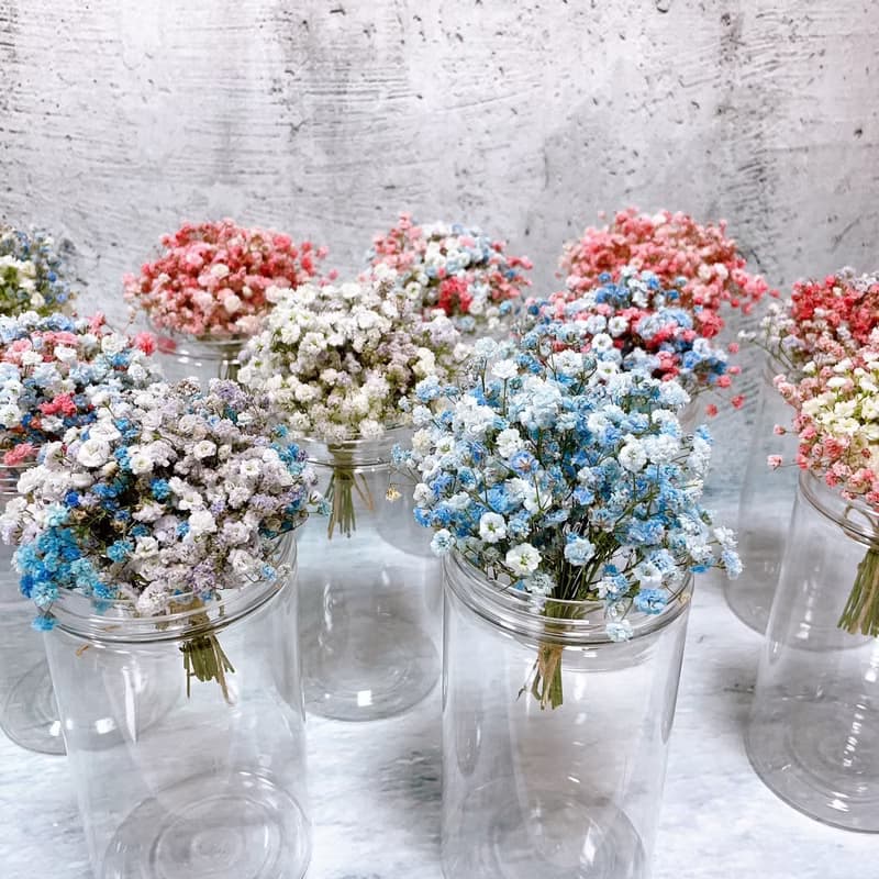 乾燥 迷你滿天星花束