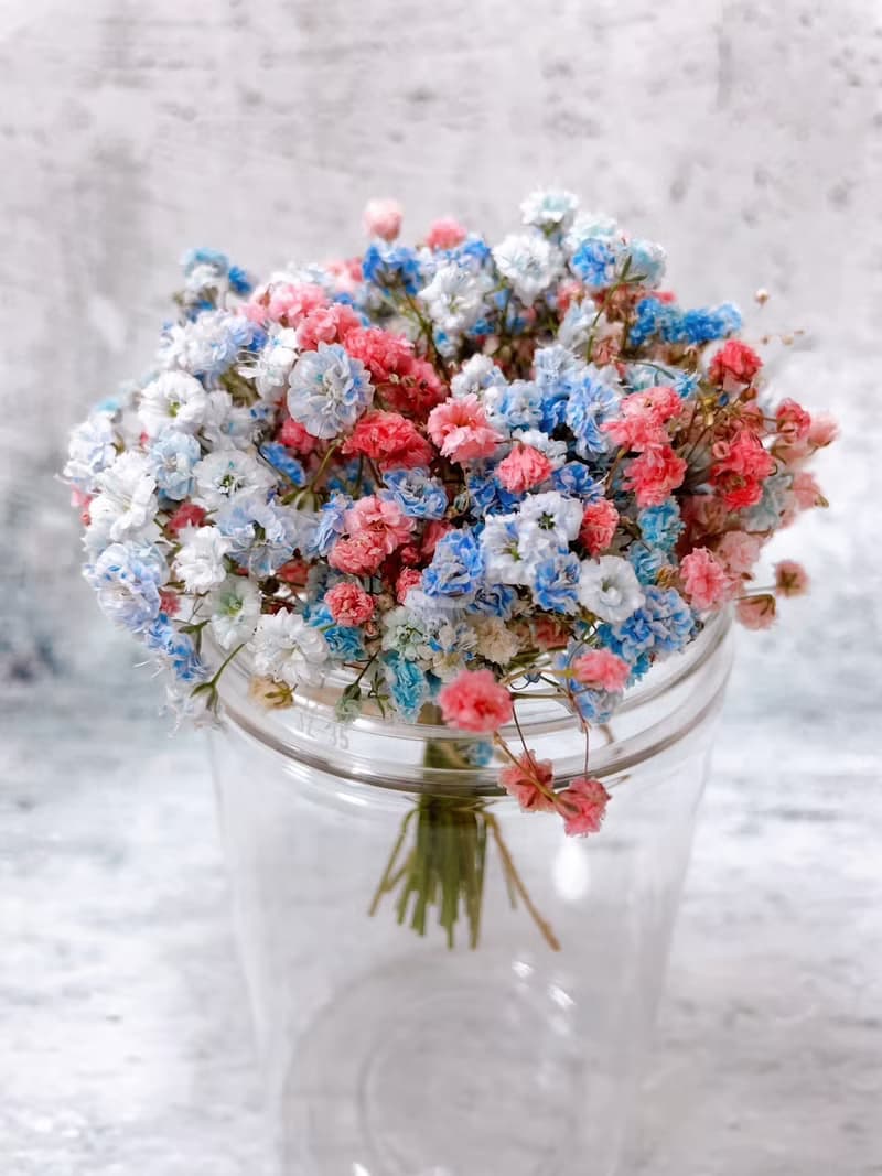 乾燥 迷你滿天星花束