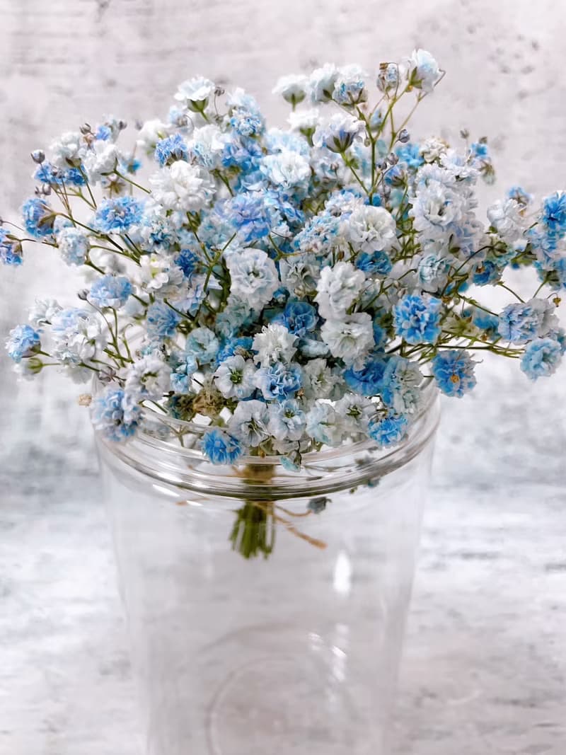 乾燥 迷你滿天星花束