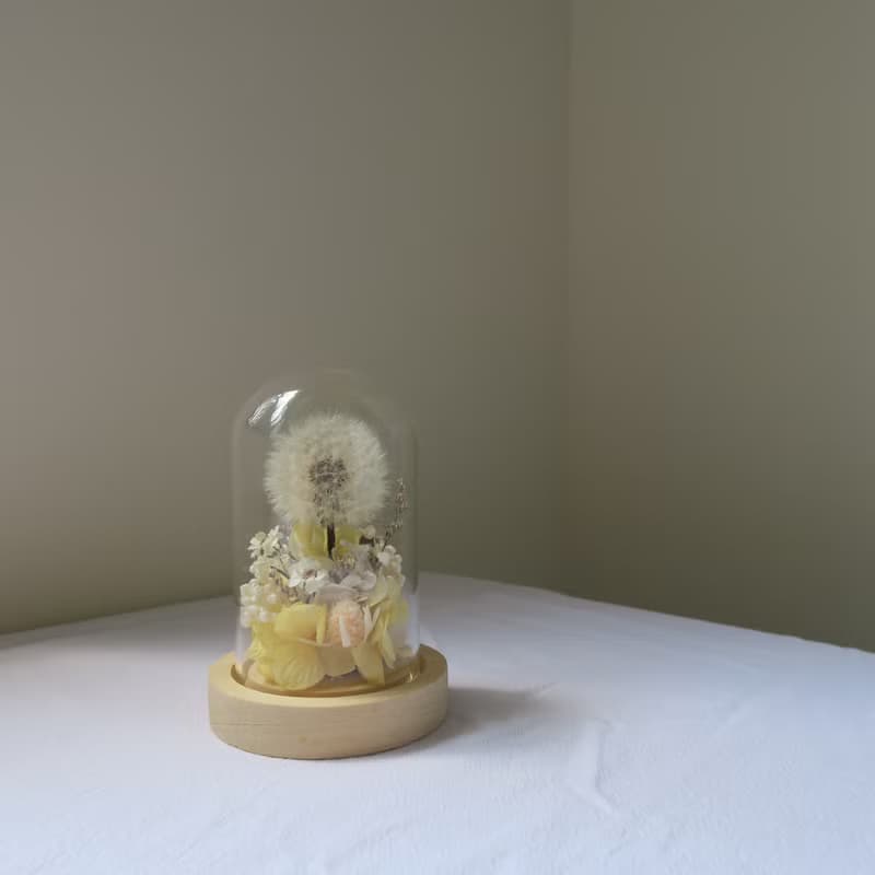 乘載心願 / 玻璃罩 多色可選 / 蒲公英 玻璃罩 乾燥花 永生花