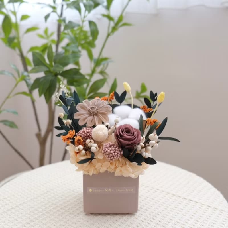 方型永生小盆花 焦糖