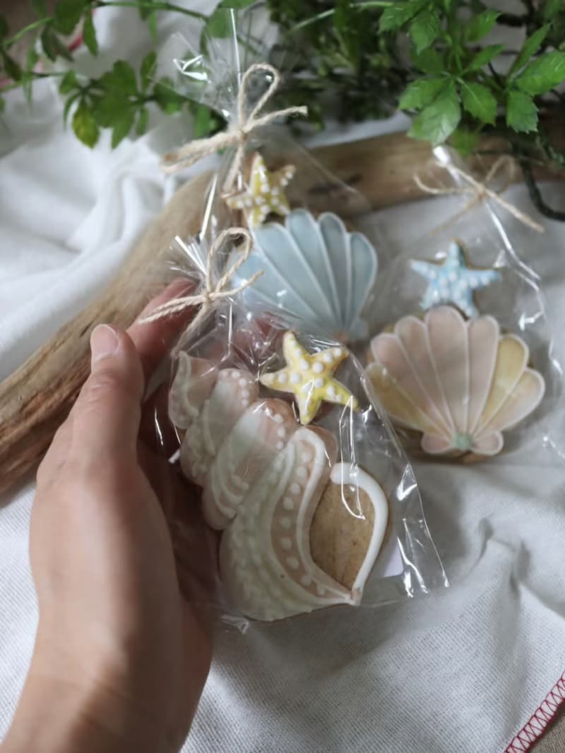 有機糖霜餅乾 9 入套組 - 海洋貝殼款