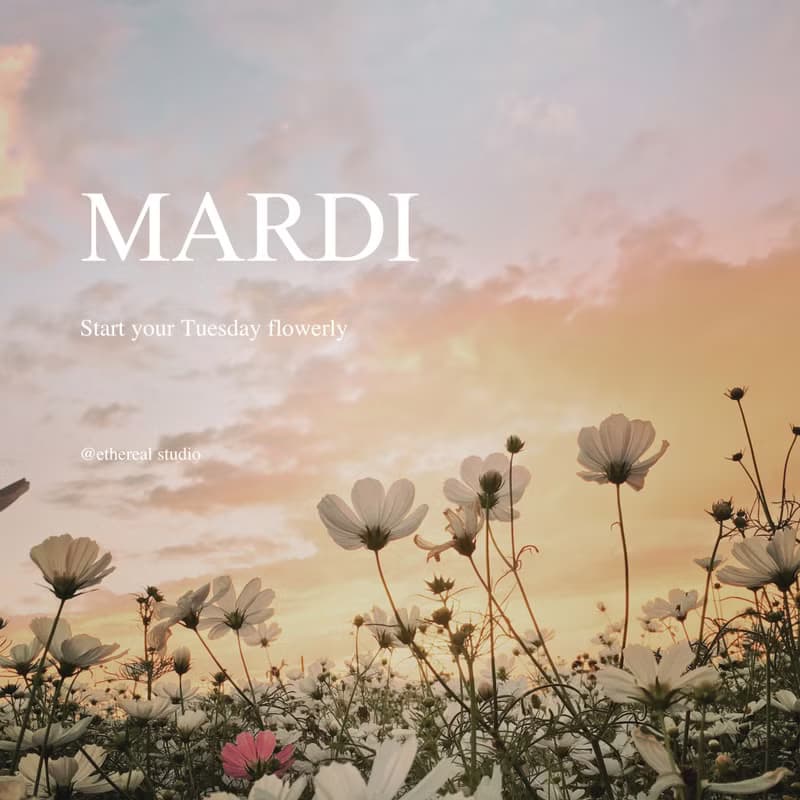 MARDI_Reed Diffuser 120ml