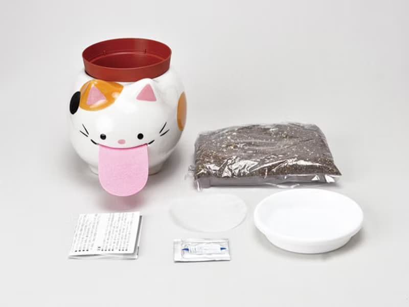 Peropon PAPA 水耕植栽盆器 / 吐舌動物 L(爸爸款)