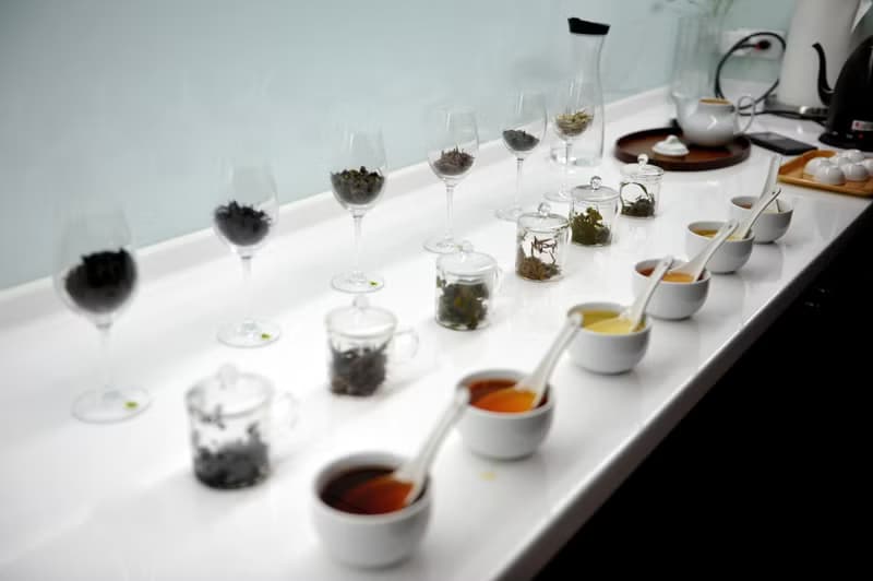 【體驗】【證照班】茶葉品評一級 (台北班)