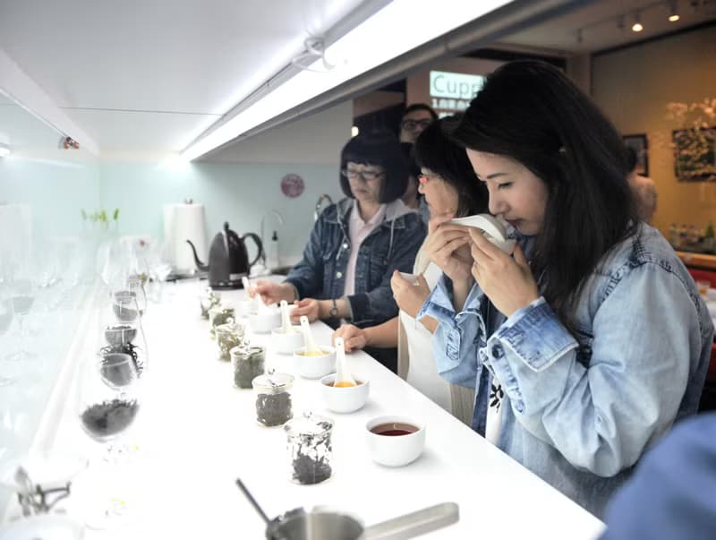 【體驗】【證照班】茶葉品評一級 (台北班)