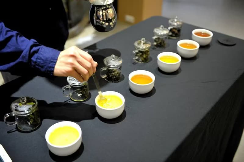【體驗】【證照班】茶葉品評一級 (台北班)
