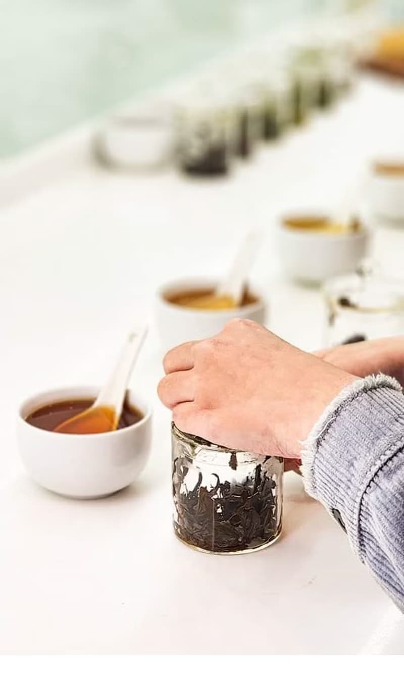 【體驗】【證照班】茶葉品評一級 (台北班)