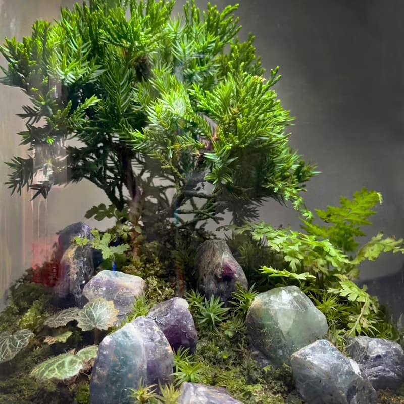 礦石風水生態缸 - 彩墨山水 / 彩螢石系列